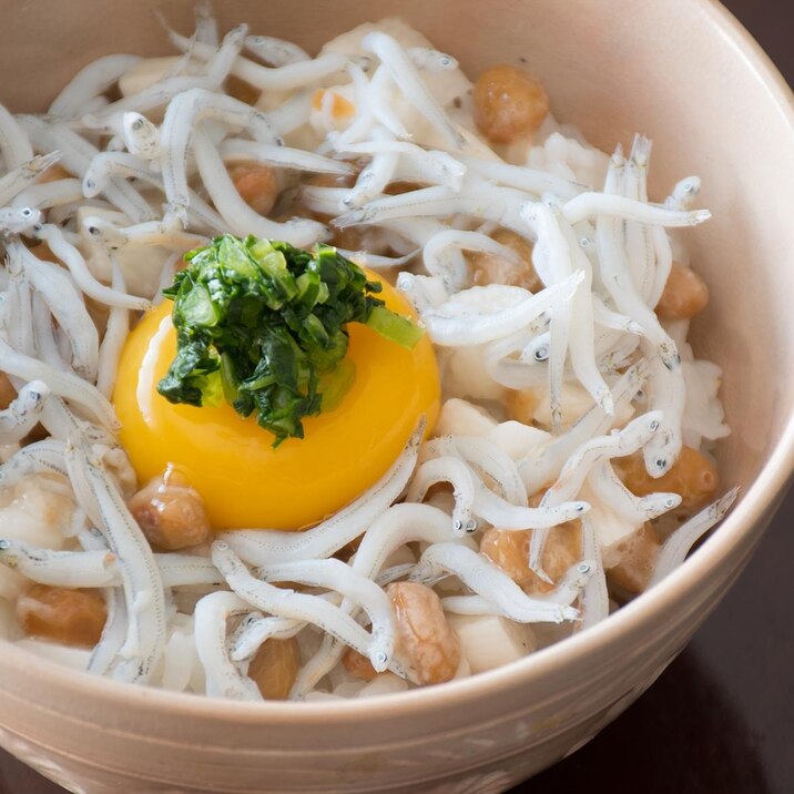 米水津湾のしらす納豆丼